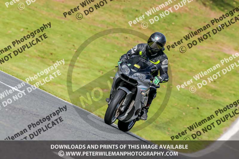 Oulton Park 20th March 2020;PJ Motorsport Photography 2020;anglesey;brands hatch;cadwell park;croft;donington park;enduro digital images;event digital images;eventdigitalimages;mallory;no limits;oulton park;peter wileman photography;racing digital images;silverstone;snetterton;trackday digital images;trackday photos;vmcc banbury run;welsh 2 day enduro